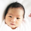 0531shigei