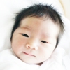 0824fujii