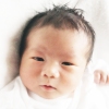 0911tanimoto